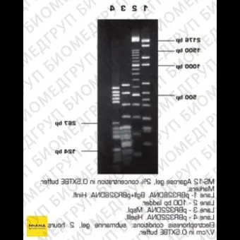 Агароза, низкий EEO, MS12, Molecular Screening, повышенная четкость разделения фрагментов 501500 п.н., Импорт, 1946.0100, 100 г