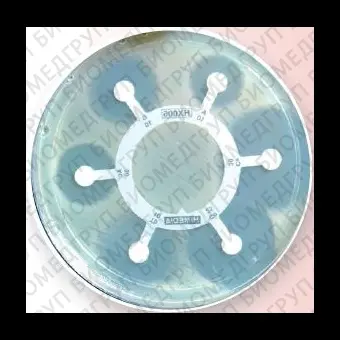 Гексадиски Haemophilus 5 для Haemophilus influenzae 10 гексадисков