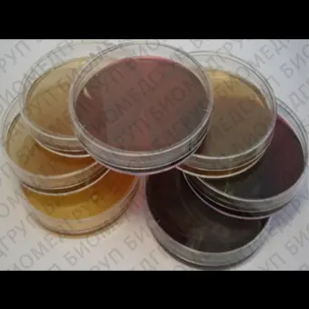 Кандидаагар 0,25 кг