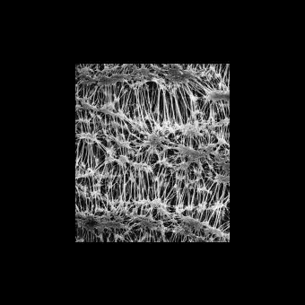 Фильтр, Флуоропор, d пор 3,0 мкм, d мембраны 47 мм, 100 шт., Merck Millipore, FSLW04700