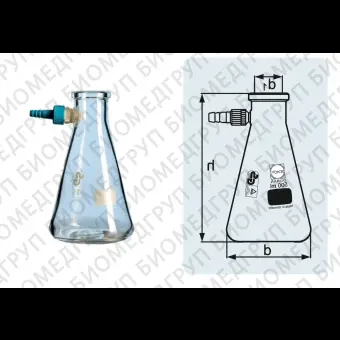 Колба Бунзена, 250 мл, горловина 34 мм, со пластиковым отводом, 10 шт./уп., DWK Life Sciences Duran, Wheaton, Kimble, 212043654