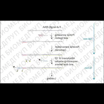 Набор для прямого секвенирования РНК, Direct RNA Sequencing Kit, Oxford Nanopore Technologies, SQKRNA002