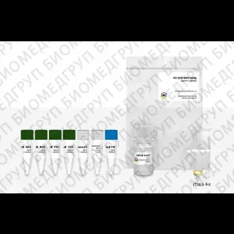 Набор реактивов протеиназа К GMAX MINI