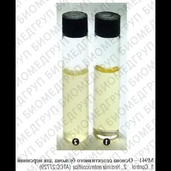 Основа селективного бульона для иерсиний, 500г ФСЗ 2009/03706в соотв. с ГОСТ Р 543542011