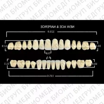 Гарнитуры пластмассовых зубов SS2 M28, цвет B2, в боксе, 20 гарнитур