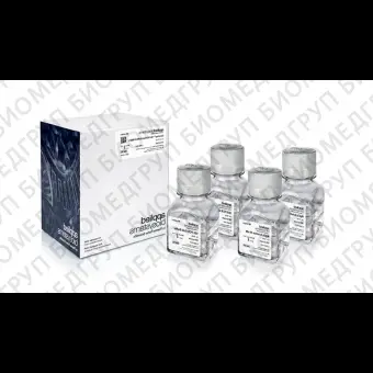 Буфер GeneAmp PCR Gold Buffer MgCl, 10X, Thermo FS, 4379874, 2x75 мл