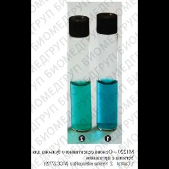 Основа селективного бульона для Yersinia с иргазаном, 500г ФСЗ 2009/03706