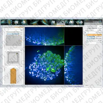 Программное обеспечение клеточной визуализации Harmony