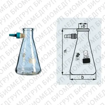 Колба Бунзена, 250 мл, горловина 34 мм, со пластиковым отводом, 10 шт./уп., DWK Life Sciences Duran, Wheaton, Kimble, 212043654