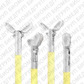 Биопсийные щипцы с фенестрированными браншами и без иглы для гибких колоноскопов Radial Jaw М00513361