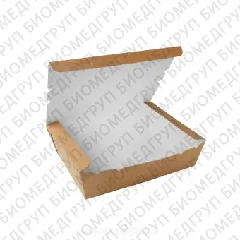 Ланчбокс контейнер одноразовый, картон, 190х150х50 мм, 1000 мл, 50 шт