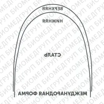 Дуги ортодонтические международная форма верхние INT NiTi TA U .016x.022/.41x.56