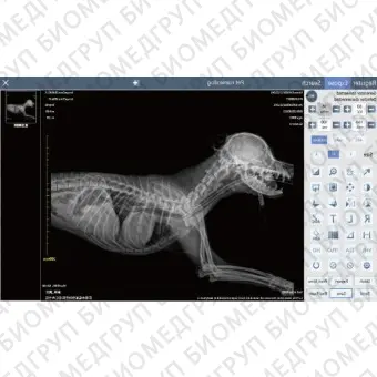 Ветеринарная рентгенографическая система VetiX P8