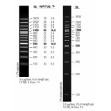 Маркер длин ДНК GeneRuler 100 bp Plus, 14 фрагментов от 100 до 1000 п.н., готовый к применению, 0,5 мкг/мкл, Thermo FS, SM0323, 50 мкг
