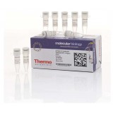 Набор для безлигазного клонирования aLICator LIC Cloning and Expression Kit 1, Thermo FS, K1241, 20 реакций