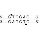 Эндонуклеаза рестрикции XhoI, 20 000 ед/мл, New England Biolabs, R0146 S, 5 000 единиц