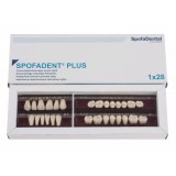 Spofadent Plus (А1) 1/48-0/6-1/72