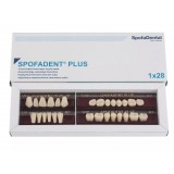 Spofadent Plus (В2) 1/47-0/6-1/72