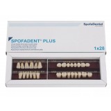 Spofadent Plus (С3) 1/23-0/7-1/60