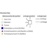 Стандарт N-гликанов AdvanceBio Man7 / M7 (ранее ProZyme)