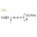 β(1-4,6)-галактозидаза (фасоль джек) (ранее ProZyme)