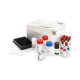 Панель MILLIPLEX MAP Human Cytokine/Chemokine/Growth Factor Panel A, 48 Plex kit для одновременного определения цитокинов, хемокинов и ростовых факторов человека(96 тестов)