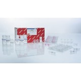 Набор Allprep DNA RNA Kit для одновременного выделения ДНК и РНК из клеток и тканей(50 реакций)