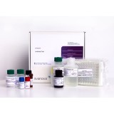 Набор реагентов SVANOVIR® BLV gp51-Ab Confirmation для обнаружения антител к лейкозу КРС методом ИФА (цельные планшеты)(10 планшетов)